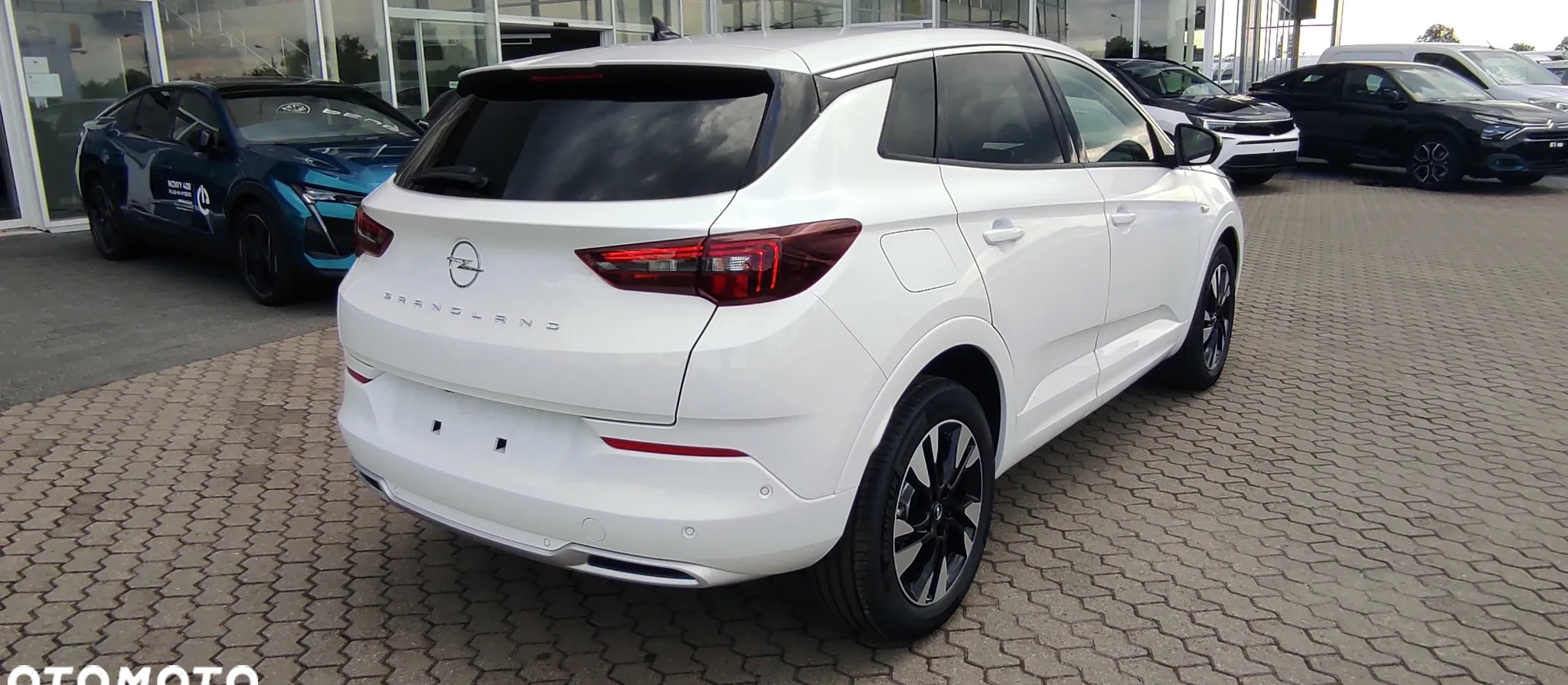 Opel Grandland X cena 139600 przebieg: 3, rok produkcji 2023 z Łobżenica małe 22